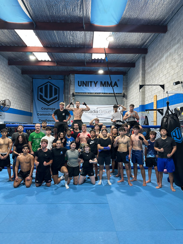 Unity MMA gym